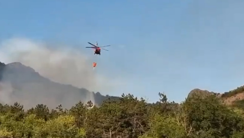 VIDEO  Incendiul de vegetație uscată în județul Tulcea riscă să se extindă la mai multe locuințe. Intervine și un elicopter BlackHawk