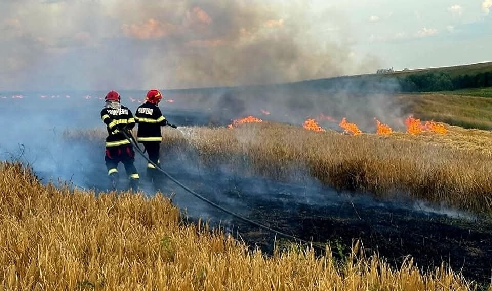 Incendiile au făcut prăpăd în Argeș: sute de pomi fructiferi, 4 autovehicule și mai multe anexe au ars. Pagube mari în Lunca Corbului