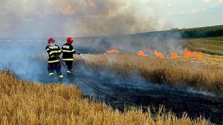VIDEO  Alertă în Oltenia: 53 de incendii în decurs de 3 zile. Zeci de pompieri se luptă cu flăcările. 750 de hectare mistuite