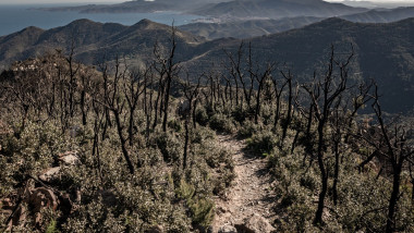 Environment Wildfires Portbou Girona Spain