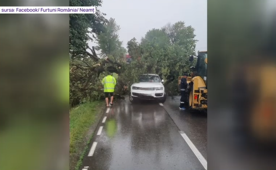 Rupere de nori în Iași și Neamț. Au căzut bucăți mari de grindină, zeci de copaci au fost doborâți de vânt