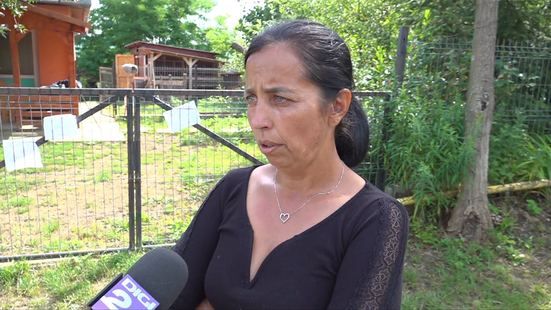 Mama fetei ucise în Mureș acuză poliția că „nu și-a făcut treaba”. Spune că fiica ei a fost forțată să-și retragă ordinul de protecție