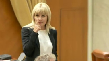 elena udrea