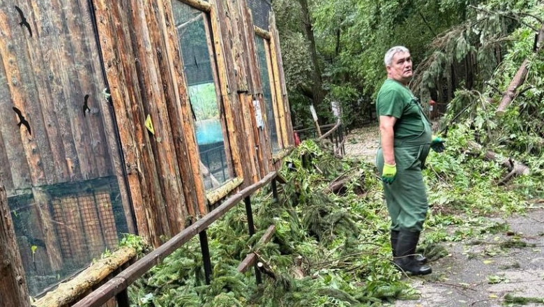 Grădina Zoologică Bucureşti, închisă temporar din cauza furtunii de ieri. Care este starea animalelor