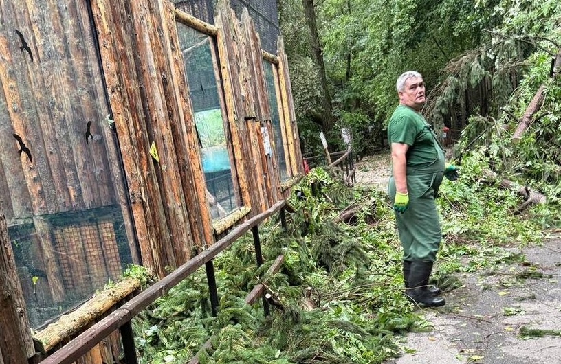 Grădina Zoologică Bucureşti, închisă temporar din cauza furtunii de ieri. Care este starea animalelor