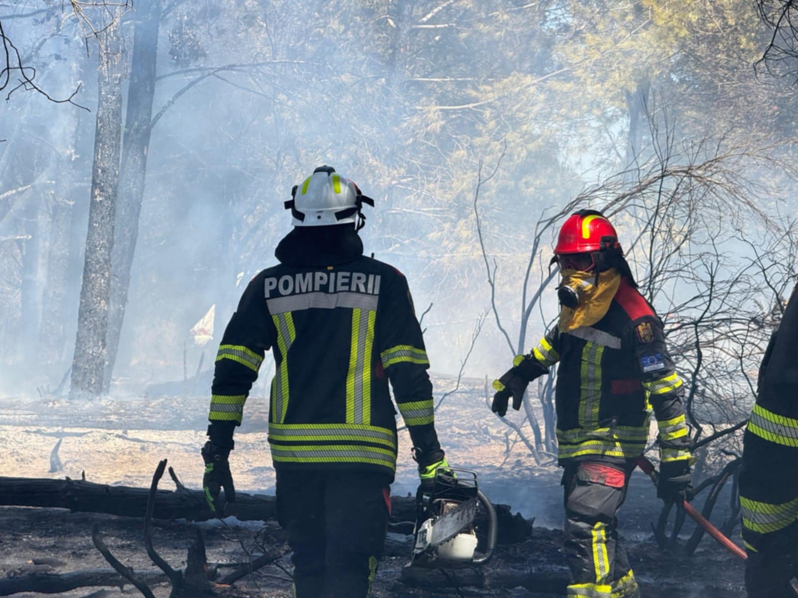 Pompierii români trimiși în Franţa acţionează cu toate mijloacele tehnice pentru stingerea unui incendiu
