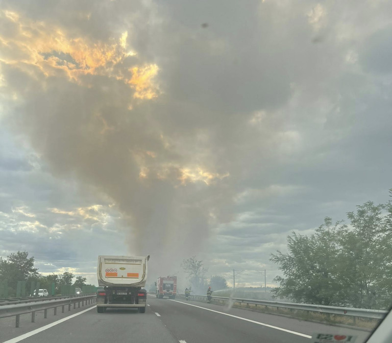 incendii de vegetatie