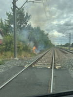 incendii de vegetatie