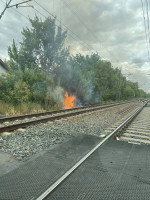 incendii de vegetatie