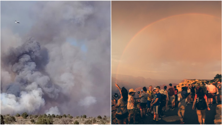 photo-collage.png - 2025-07-11T214215.809