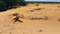 desert camp sudul romaniei