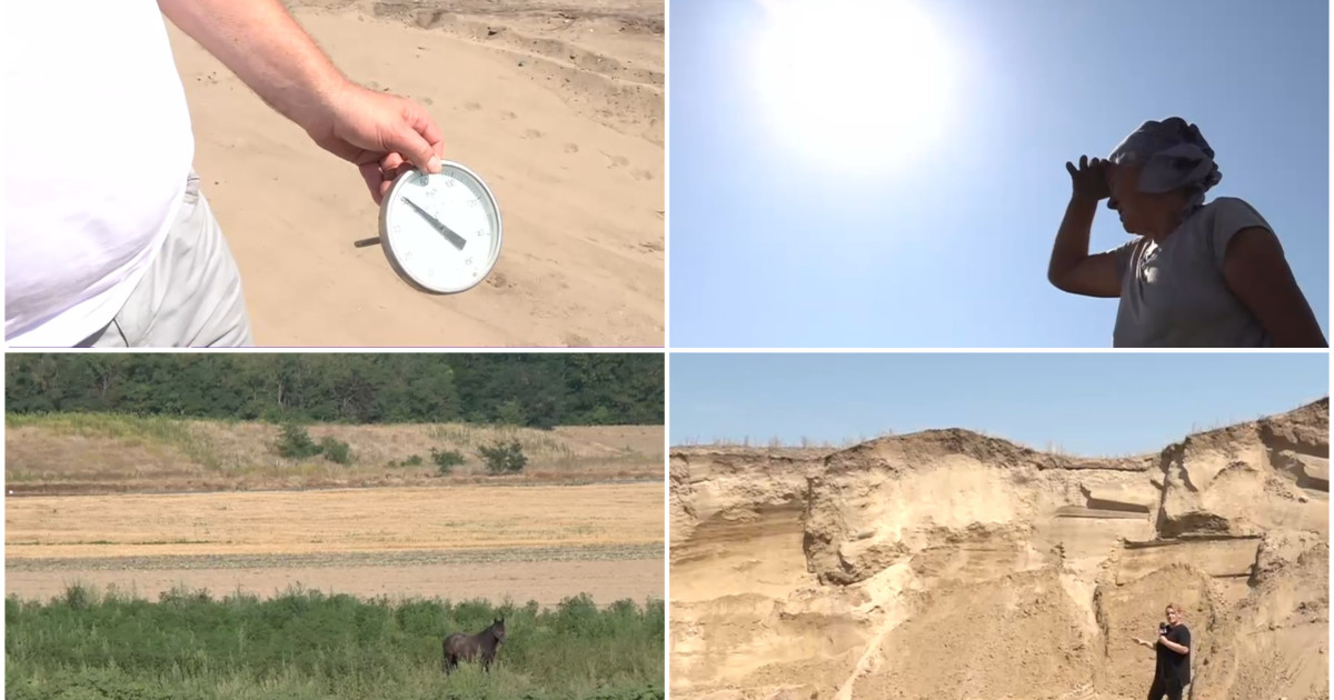 Situație critică în „Sahara Olteniei”, unde nu a mai plouat de trei luni. Cum arată viața de agricultor în câmp, la peste 40° Celsius