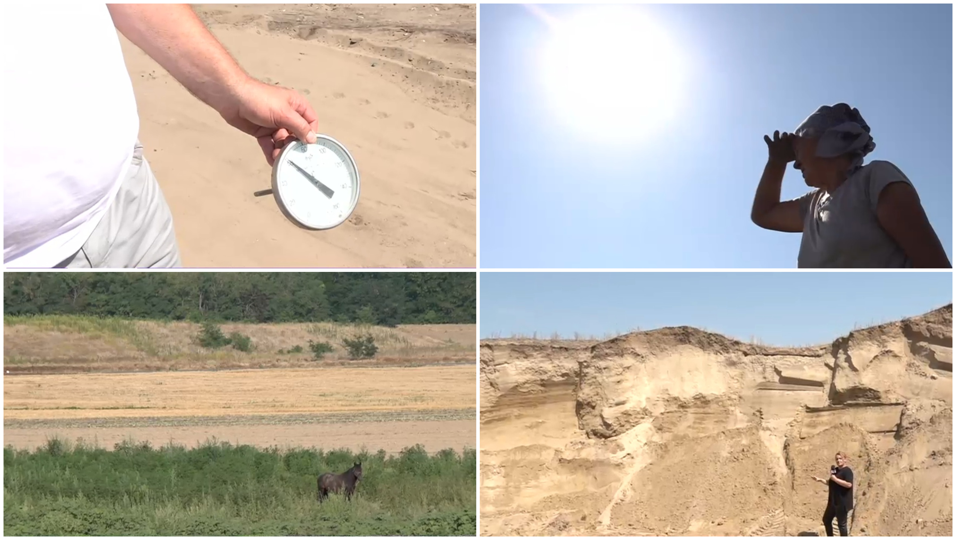 Situație critică în „Sahara Olteniei”, unde nu a mai plouat de trei luni. Cum arată viața de agricultor în câmp, la peste 40° Celsius