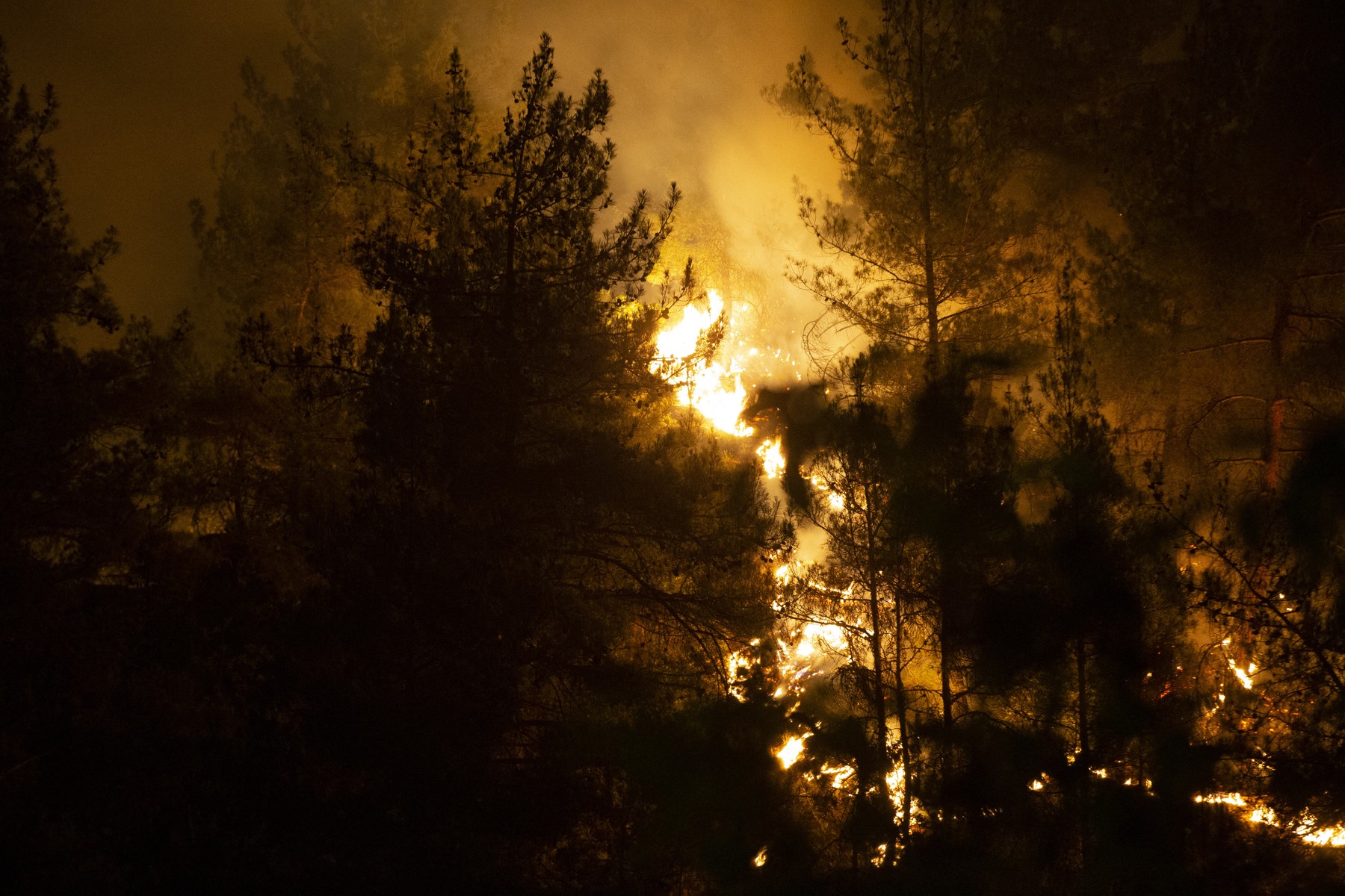 „Scene apocaliptice”. Turcia se luptă cu incendiile forestiere. Localități evacuate de urgență și peste 1.000 de pompieri mobilizați