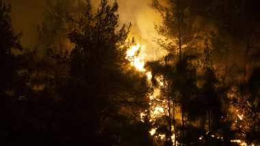 incendii vegetatie turcia