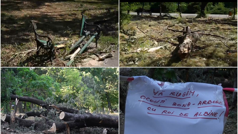 VIDEO  Imagini dezolante în marile parcuri ale Bucureștiului: Copaci căzuți și amenajări distruse după furtună. Primăria e de negăsit