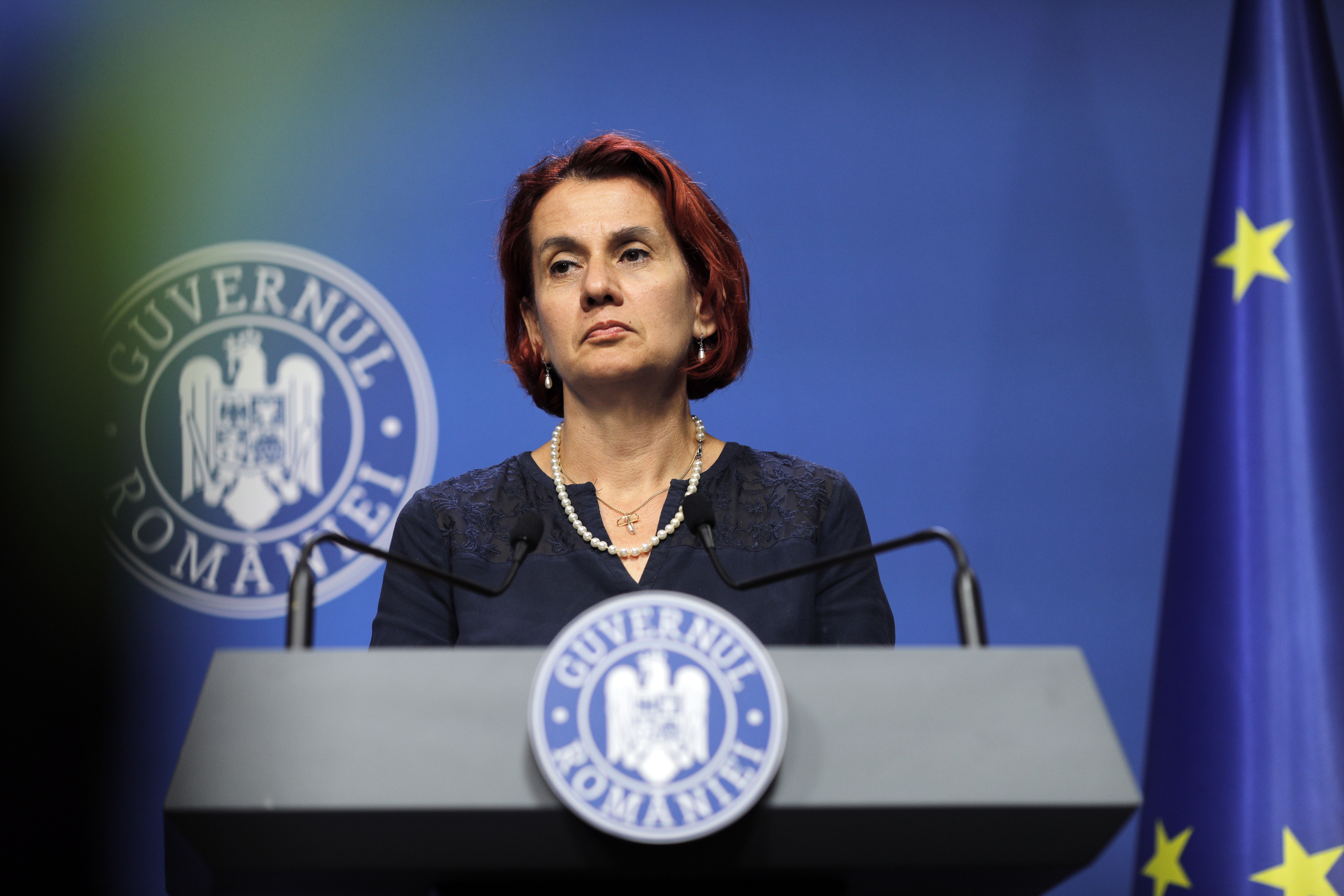Modificările la Ordonanţa 52 au fost amânate pentru săptămâna viitoare. Dogioiu: „Nu a fost absolut niciun scandal”