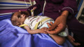 Hospitals in Gaza overflow with babies dying as the mass starvation crisis deepens