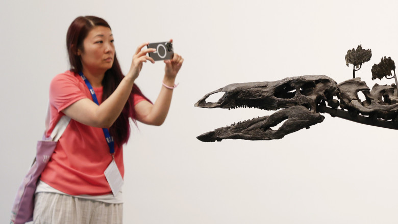 "Apex" The 150-Million-Year-Old Stegosaurus at Sotheby's in New York