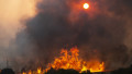 incendii vegetatie Bulgaria
