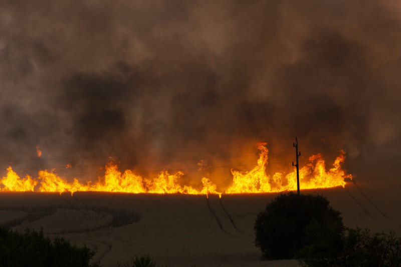 incendii vegetatie bulgaria