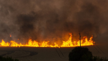 incendii vegetatie bulgaria