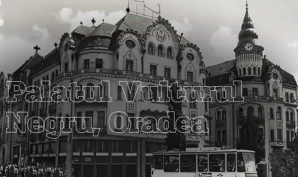 Palatul „Vulturul Negru”, Oradea