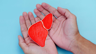 Hand holding a heart sign to commemorate world hepatitis day