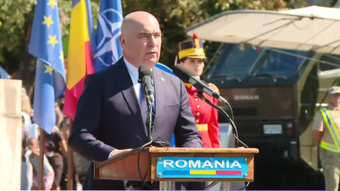 Bolo