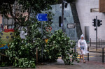 Typhoon Wipha in Hong Kong - 20 Jul 2025