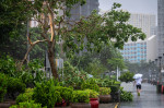 Typhoon Wipha in Hong Kong - 20 Jul 2025