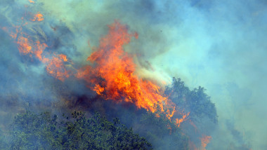 Firefighting efforts continue for the wildfire broke out in Italy