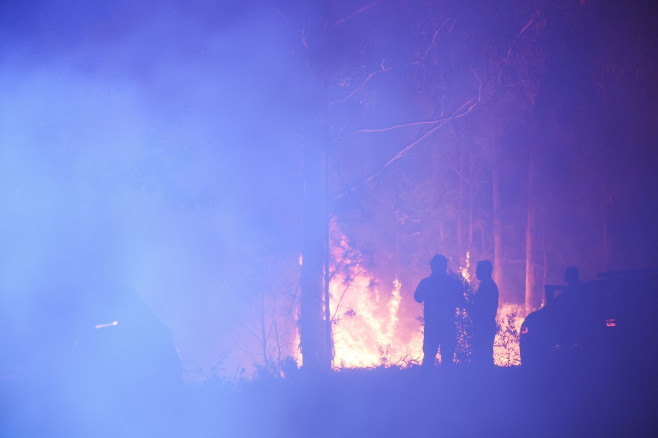 profimedia-1026602025