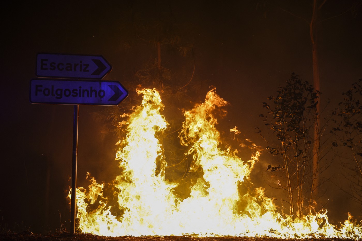 Portugalia, în stare de alertă din cauza celor 17 incendii de pădure majore care afectează țara: mai mulți răniți, inclusiv pompieri