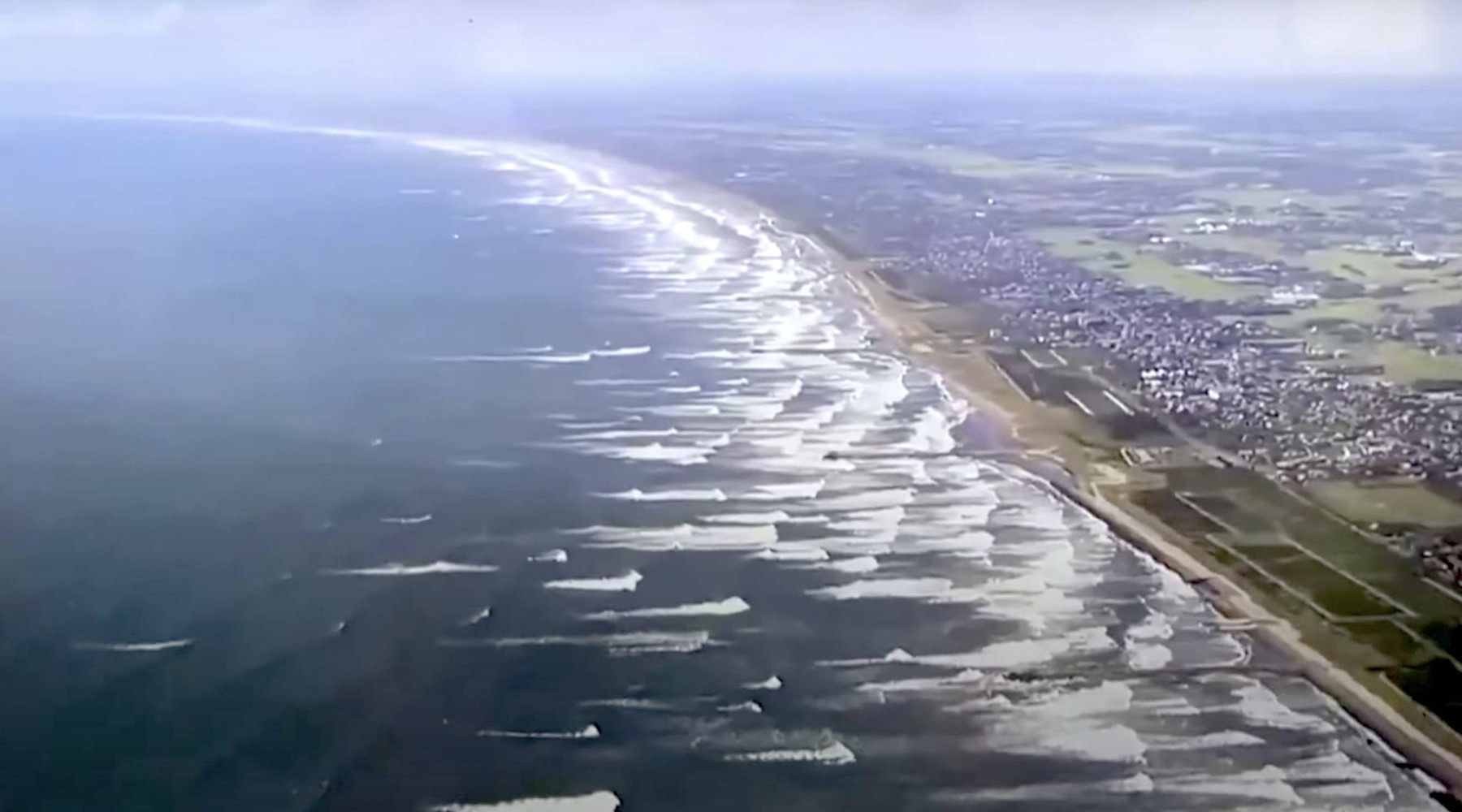 Imagini impresionante în Japonia: balene eșuate pe țărmul din Tateyama după cutremurul puternic din Kamceatka urmat de un tsunami