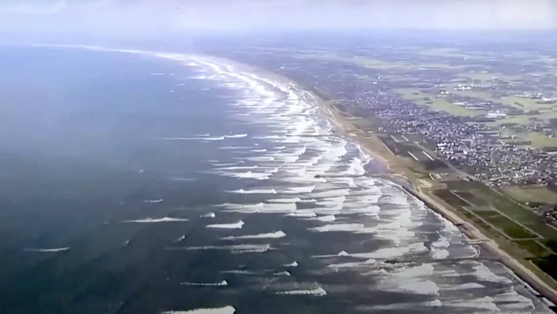 VIDEO  Imagini impresionante în Japonia: balene eșuate pe țărmul din Tateyama după cutremurul puternic din Kamceatka urmat de un tsunami