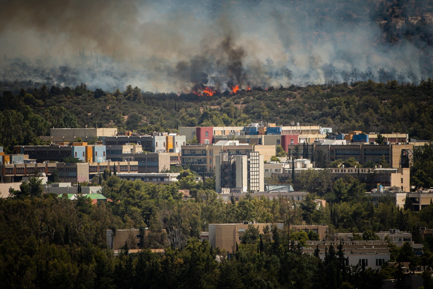Cum te poți pregăti pentru o vacanță în Grecia sau Turcia, în plin sezon de incendii de vegetație. Sfaturi utile pentru turiști