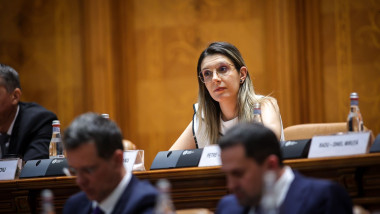 Diana buzoianu in parlament