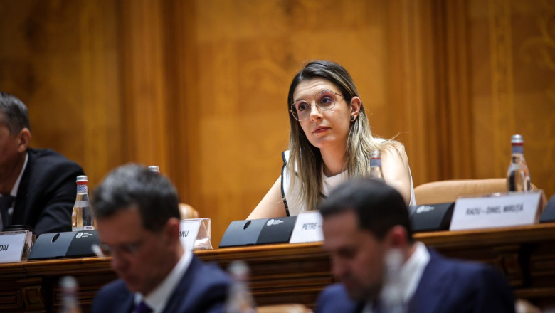 Diana buzoianu in parlament