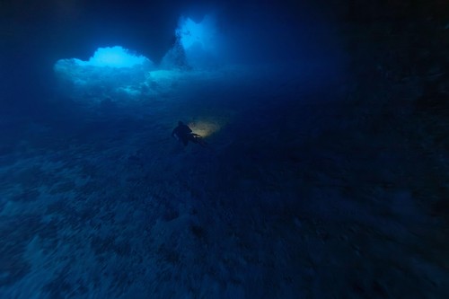 Descoperire „revoluționară” în adâncurile Oceanului Pacific: O „oază vibrantă” de creaturi devoratoare de substanţe chimice