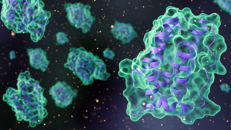 3D rendering of complex leptin protein molecular structures at a microscopic level.