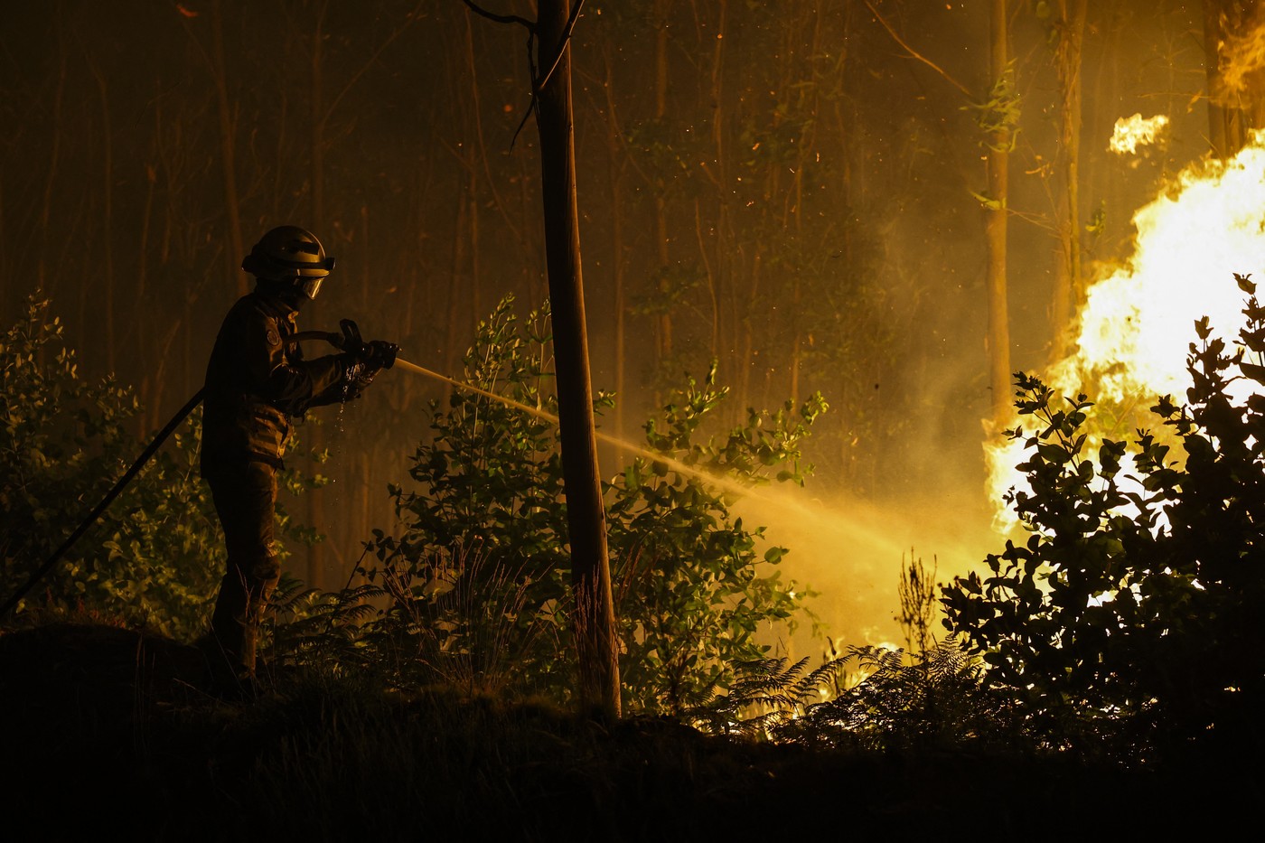 O nouă atenţionare de călătorie pentru Portugalia. Alertă națională pentru patru zile, risc extrem de incendii de vegetaţie