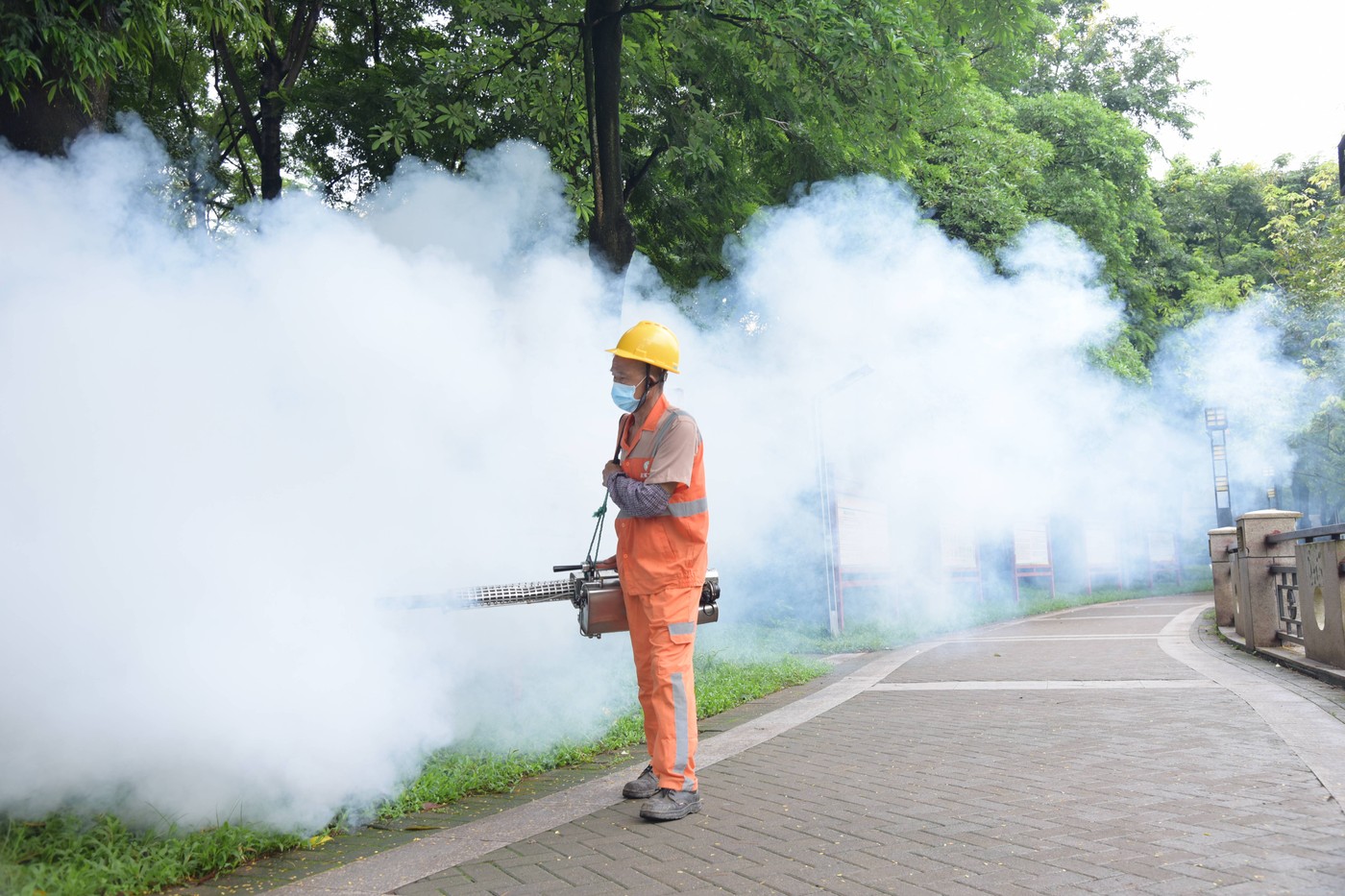 Restricții ca în pandemie, în China. Un virus transmis de țânțari se răspândește rapid în provincia Guangdong