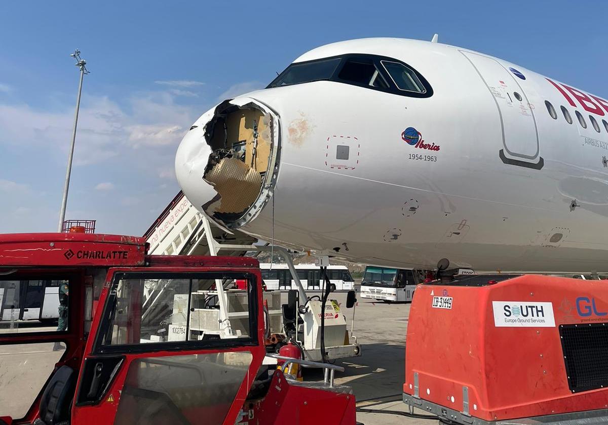 Un avion Iberia spre Paris s-a întors de urgență la Madrid după ce a lovit un vultur în zbor