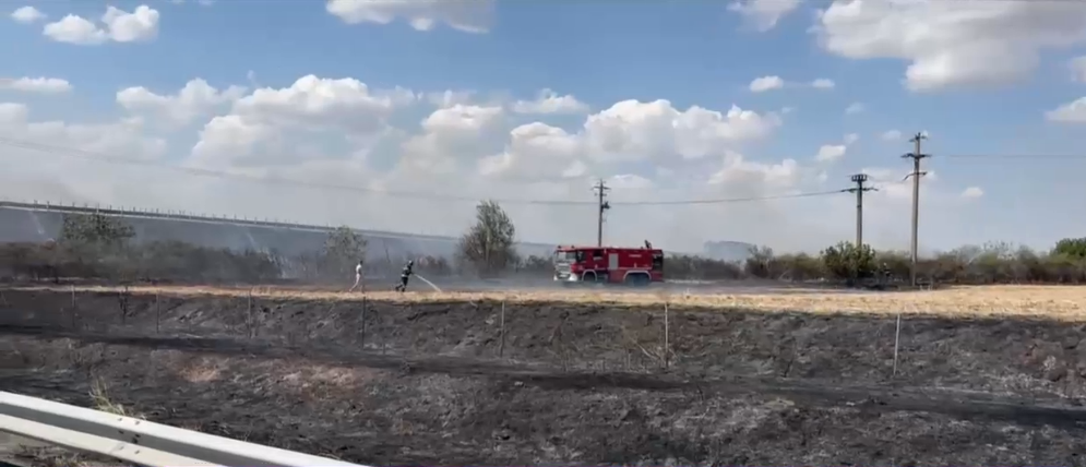 Incendiu în zona Autostrăzii A2 București - Constanța. Anunțul IGPR