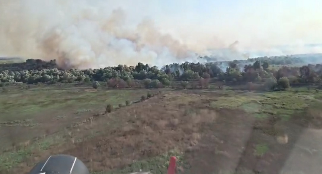 Pompierii încă se luptă să stingă incendiul de vegetație din Tulcea. Au apărut noi focare și intervin trei elicoptere Black Hawk