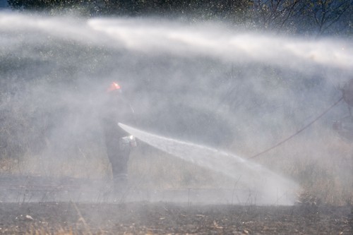 Uriaşul incendiu de vegetaţie din Franţa este sub control. 16.000 de hectare de pădure au fost distruse
