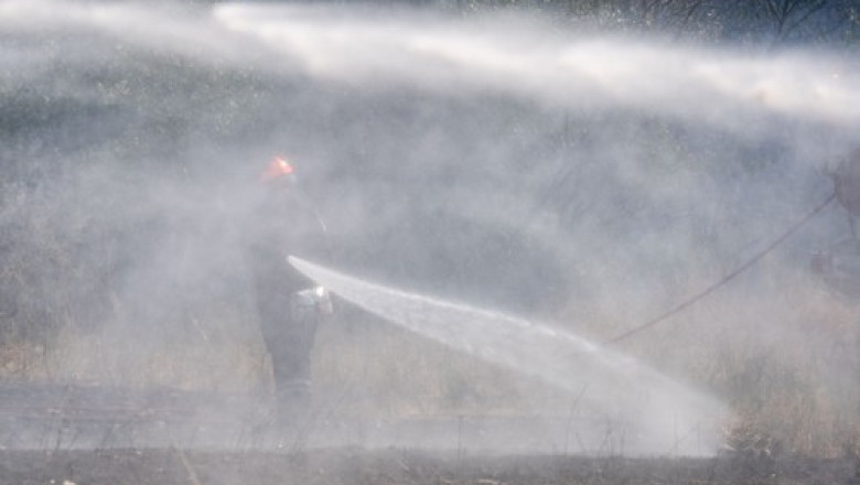 Uriaşul incendiu de vegetaţie din Franţa este sub control. 16.000 de hectare de pădure au fost distruse