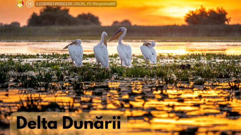 (P) Tot ce trebuie să știm despre Delta Dunării, declarată rezervație a biosferei