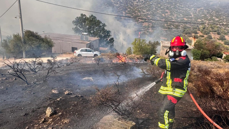 VIDEO  Pompierii români avertizează: peste 250 de incendii au izbucnit în doar 24 de ore. Câte hectare au ars și ce i se recomandă populației